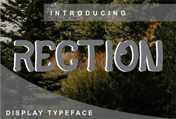 Rection: The Versatile Display Typeface for Modern Editorial Design